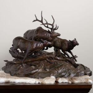 Wildlife & Sporting Art