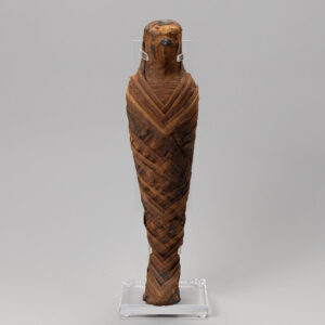 Egyptian Mummified Falcon