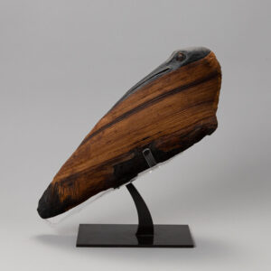 Egyptian Mummified Ibis