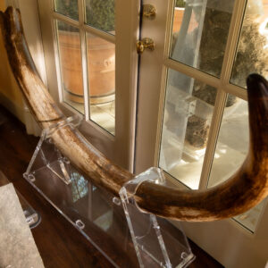 Mammoth Tusk