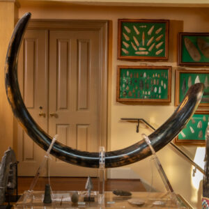 Mammoth Tusk