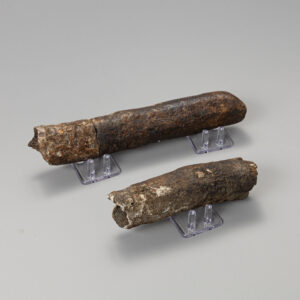 Mammut Americanum. The American Mastodon