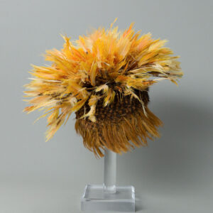 Wari Feathured Headdress